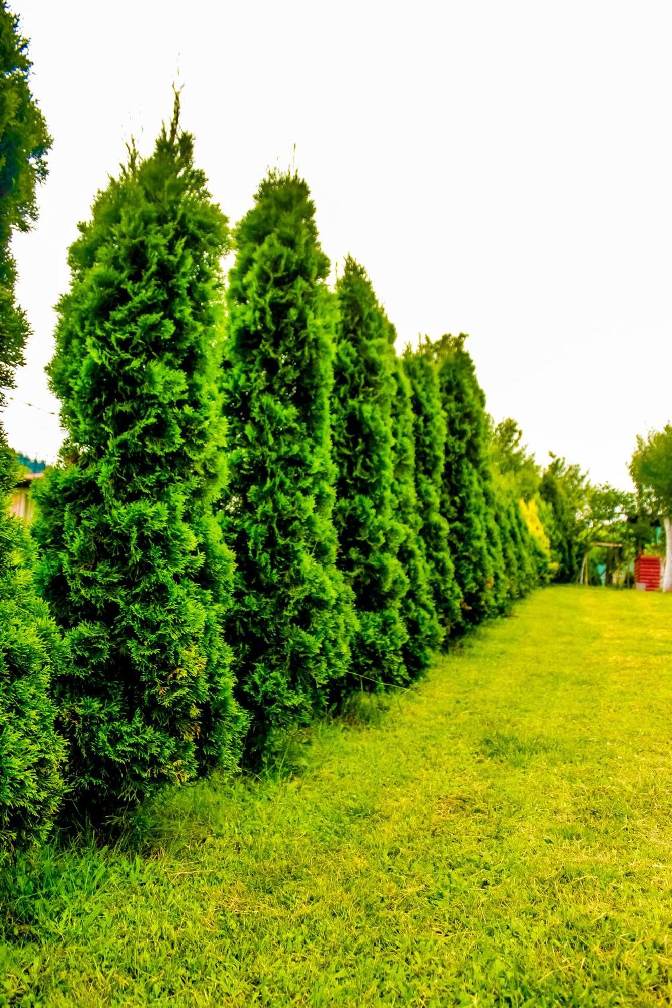 Villa Usivak For Green Quiet Holiday Near Sarajevo#Travellerawards2025 Zewnętrze zdjęcie