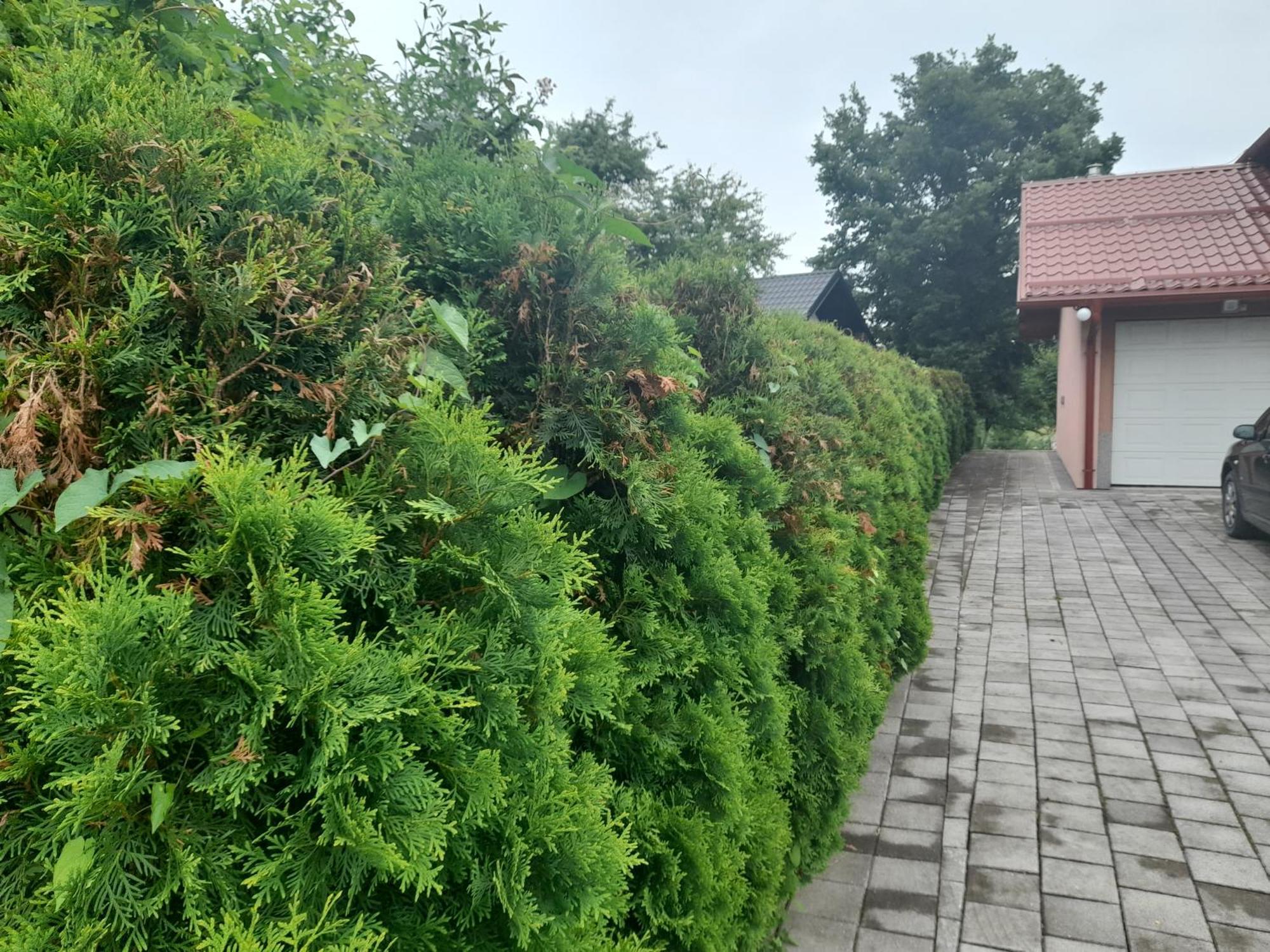 Villa Usivak For Green Quiet Holiday Near Sarajevo#Travellerawards2025 Zewnętrze zdjęcie